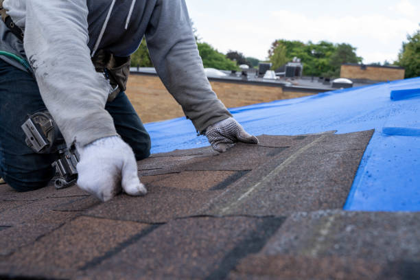 Best Storm Damage Roof Repair  in Boise City, OK