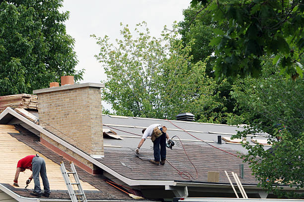 Best Metal Roofing Contractor  in Boise City, OK